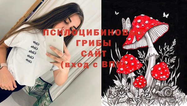 амф Арсеньев