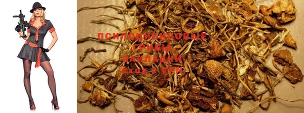 марки nbome Армянск