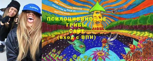 Альфа ПВП Аркадак